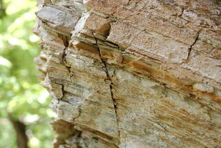 Rocks near Bačov