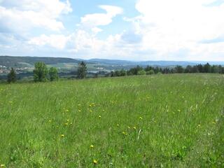 The landscape of the Křetínská basin