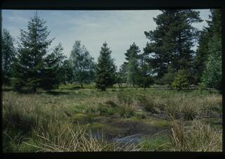 The landscape of the Pavlovský wetlands. Autor: Hynek Skořepa